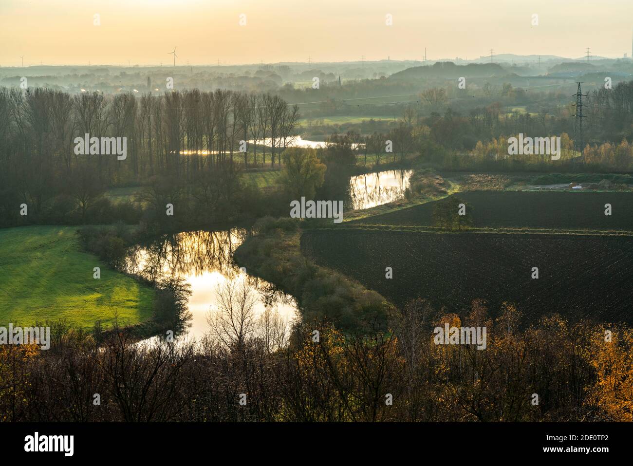 Lippe Auen, ancien affluent de la rivière Lippe, près de Hamm, NRW, Allemagne Banque D'Images