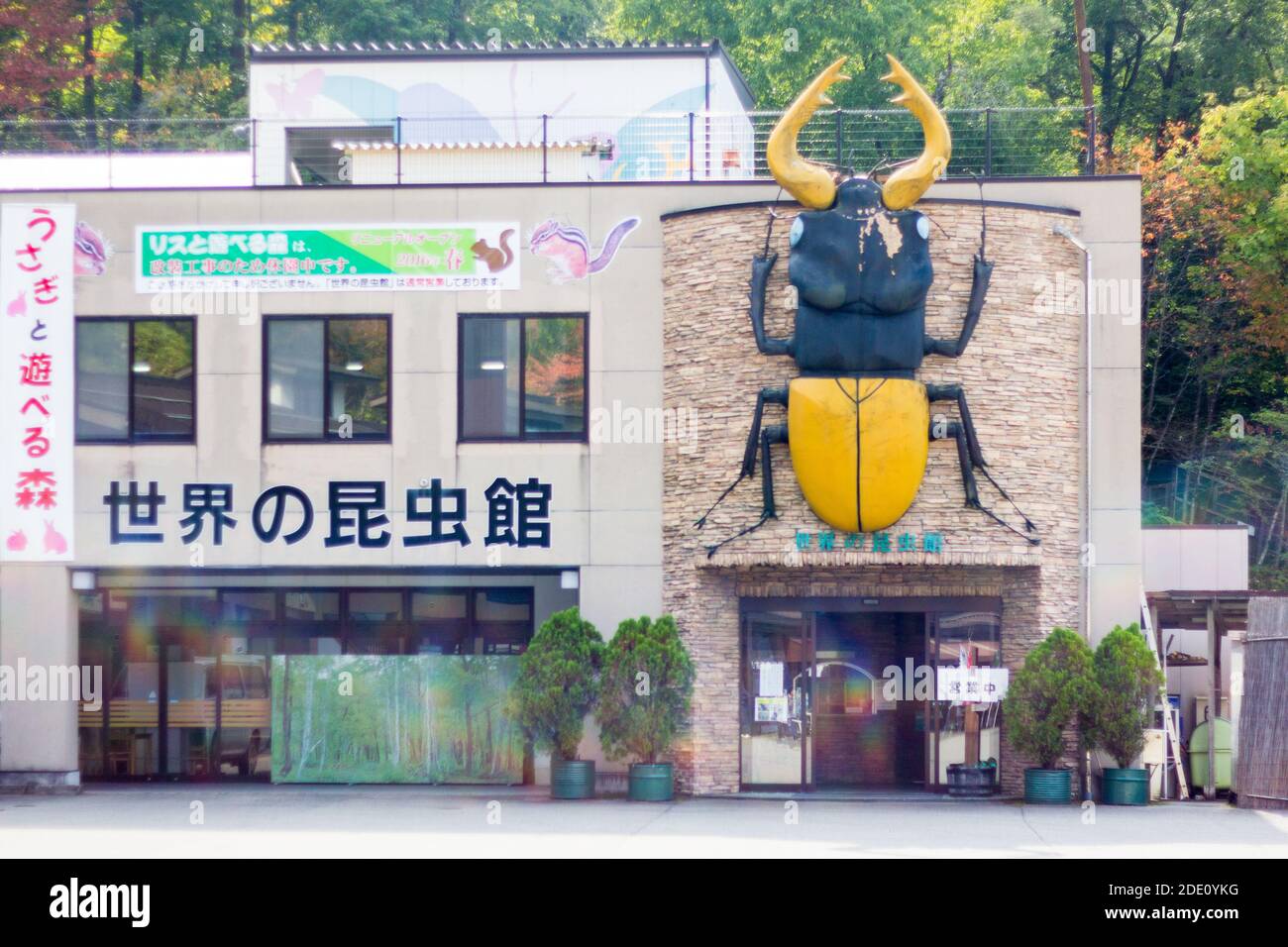 Façade du musée des insectes Takayama à Takayama, Japon Banque D'Images