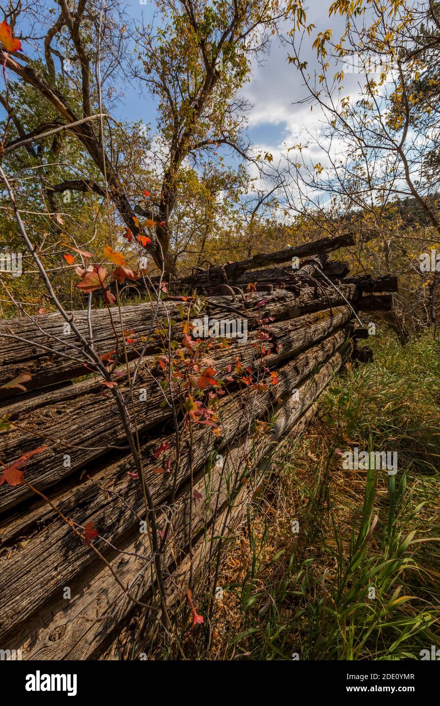 La vieille grange demeure au site historique de Caroline Lockhart Ranch, dans le terrain de loisirs national de Bighorn Canyon, près de Lovell, Wyoming, États-Unis Banque D'Images