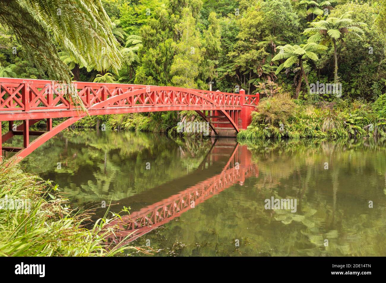 Pukekura Park, jardin botanique, New Plymouth, Taranaki, Île du Nord, Nouvelle-Zélande, Pacifique Banque D'Images