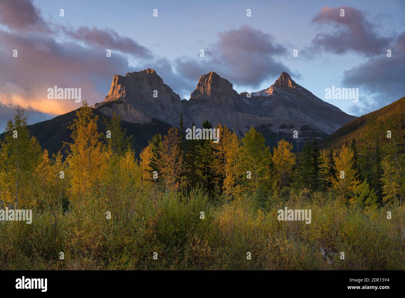 Lever de soleil en automne à Three Sisters Peaks près du parc national Banff, Canmore, Alberta, Rocheuses canadiennes, Canada, Amérique du Nord Banque D'Images