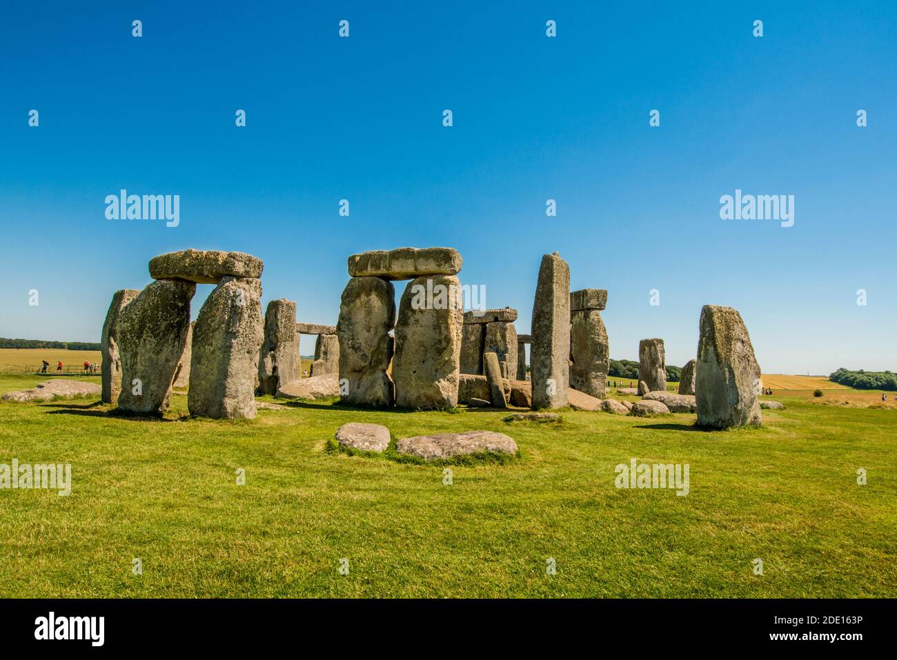 Monument néolithique de Stonehenge, site classé au patrimoine mondial de l'UNESCO, plaine de Salisbury, Salisbury, Wiltshire, Angleterre, Royaume-Uni, Europe Banque D'Images