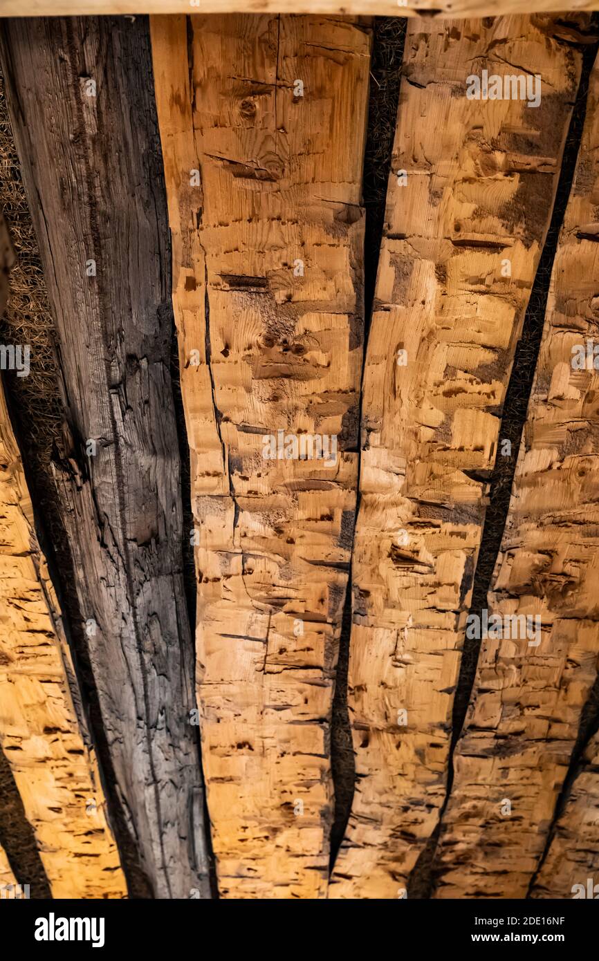 Site historique de Caroline Lockhart Ranch dans le terrain de loisirs national de Bighorn Canyon, près de Lovell, Wyoming, États-Unis Banque D'Images
