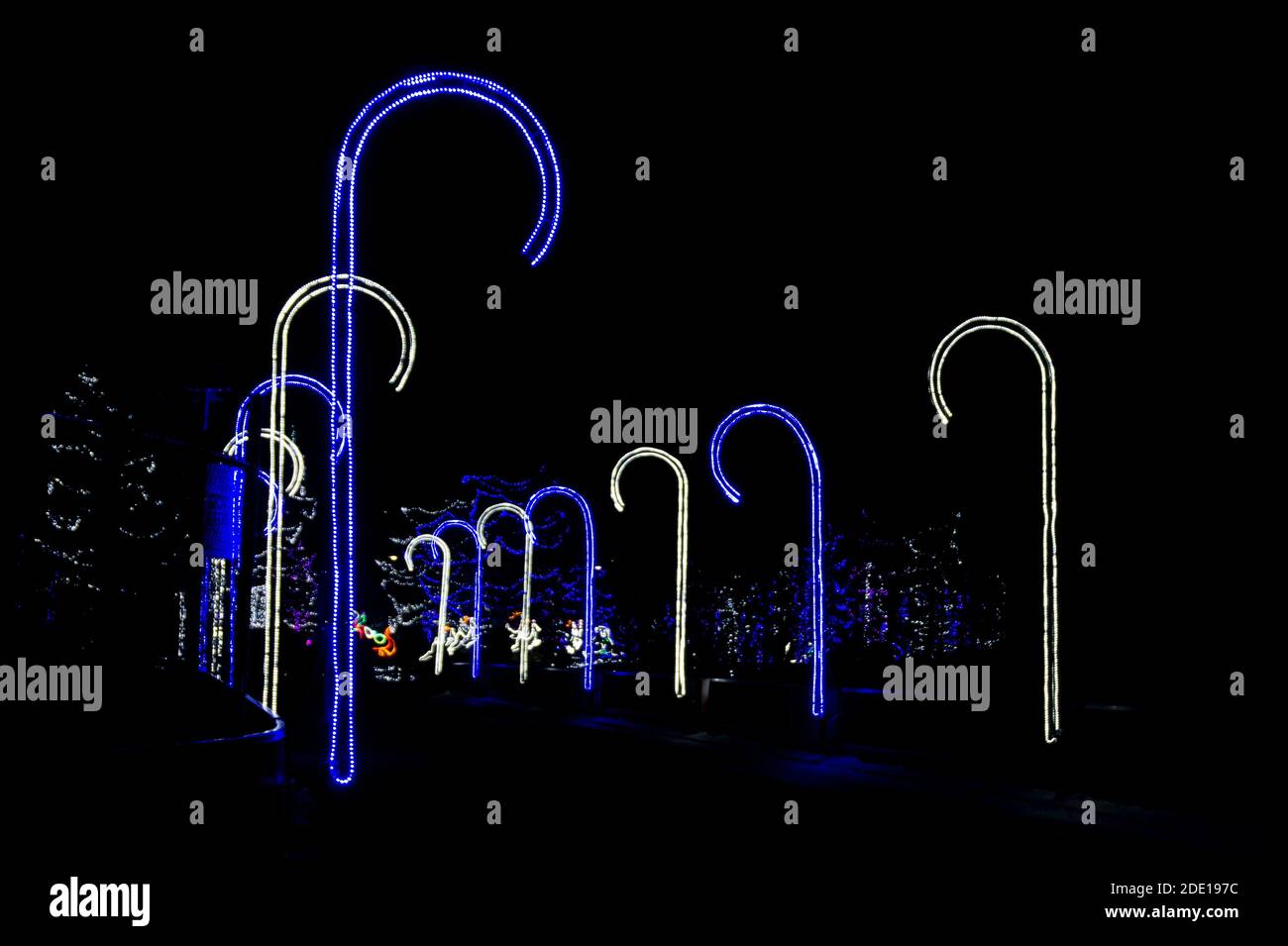 Zoolights Calgary Alberta Banque D'Images