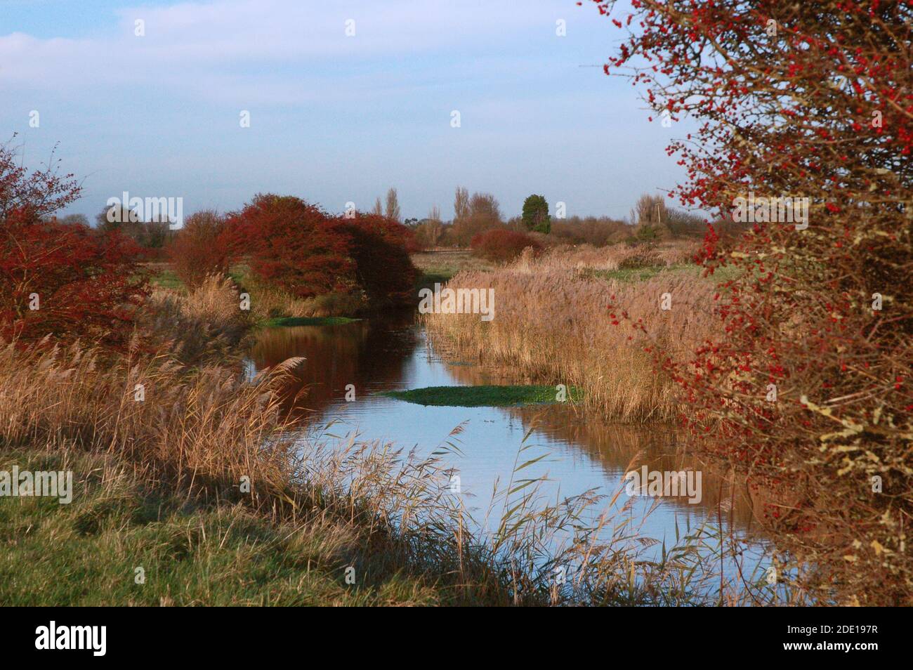 L'irrigation et le drainage sont importants pour les niveaux de Pevensey. En automne avec les couleurs de saison, ce cours d'eau a une beauté propre. Banque D'Images