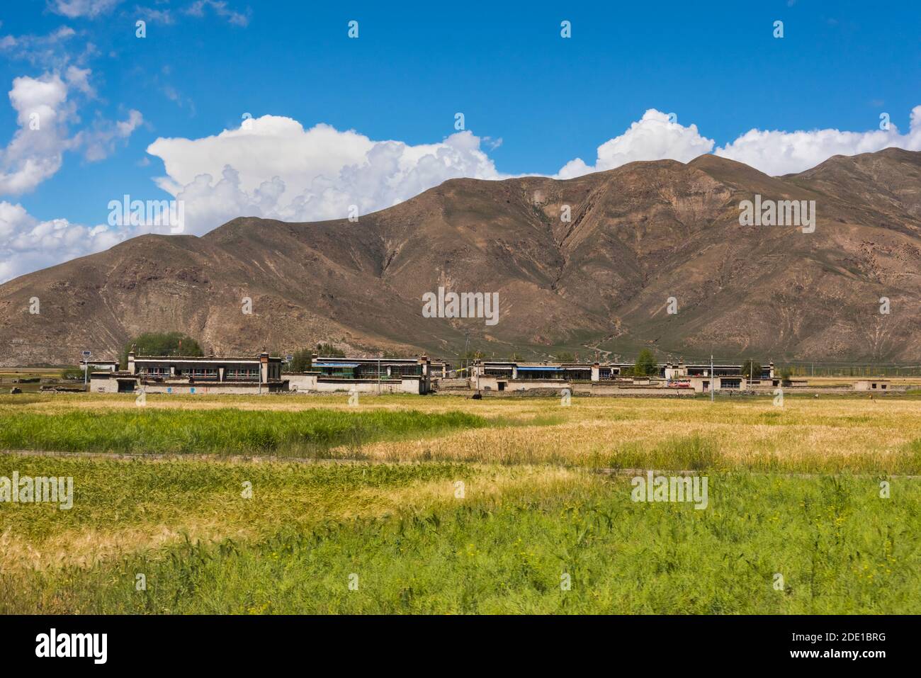 Village et champ d'orge dans l'Himalaya, préfecture de Shigatse, Tibet, Chine Banque D'Images