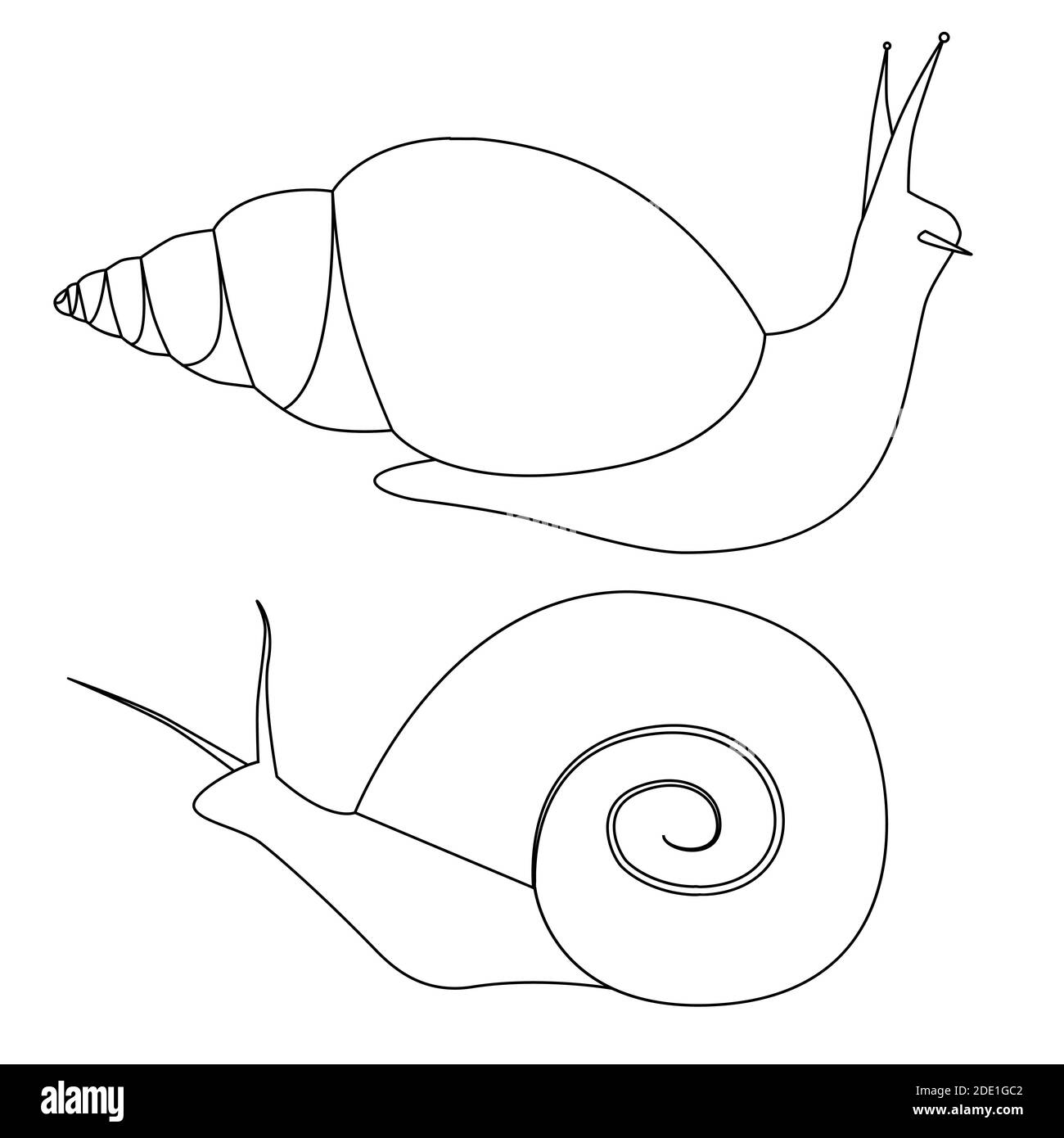 Ensemble d'escargots de contour de différentes formes. Les objets sont ...