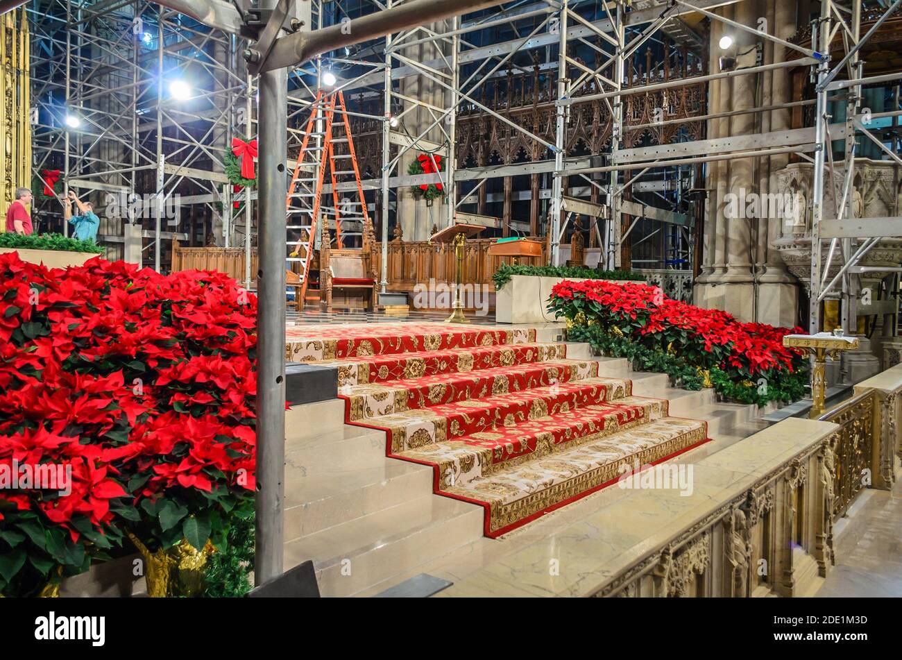 Intérieur de la cathédrale Saint-Patrick. Travaux de rénovation en cours. Décoration de Noël avec fleurs rouges. Manhattan, New York, États-Unis Banque D'Images