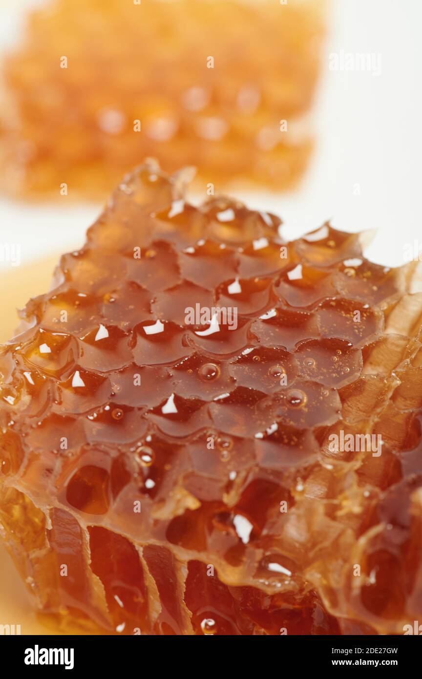 Miel sucré en cire à peigne macro vue rapprochée Banque D'Images