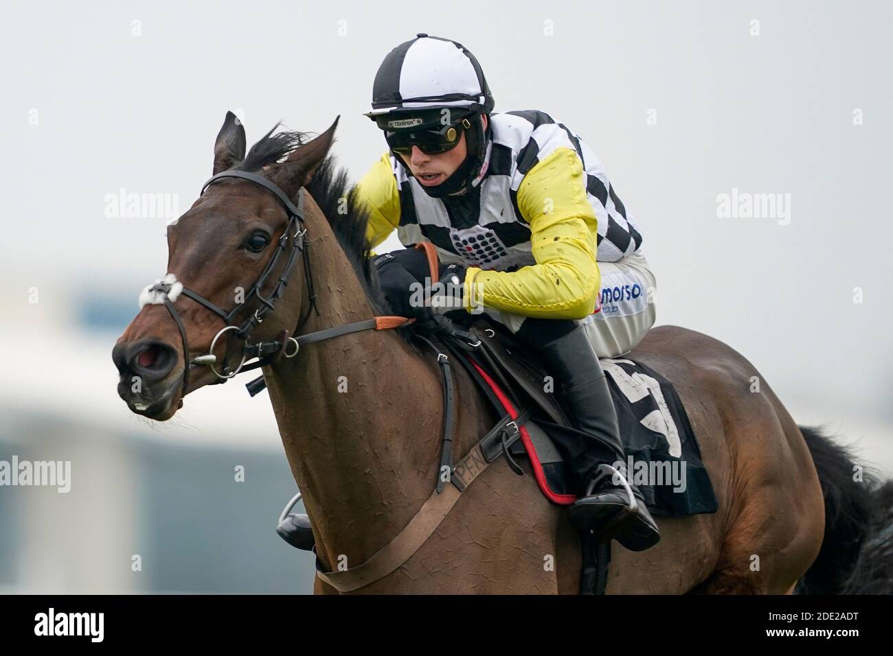 Prochaine destination criblée par Harry Cobden sort le dernier à gagner le Ladbrokes John Francome novices' Chase à Newbury Racecourse. Banque D'Images