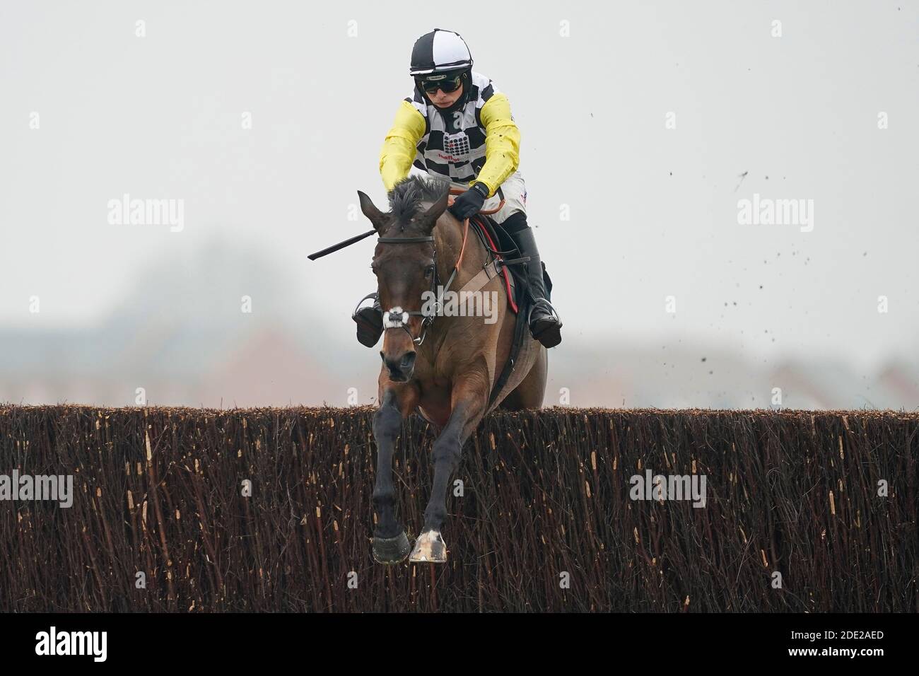 Prochaine destination criblée par Harry Cobden sort le dernier à gagner le Ladbrokes John Francome novices' Chase à Newbury Racecourse. Banque D'Images