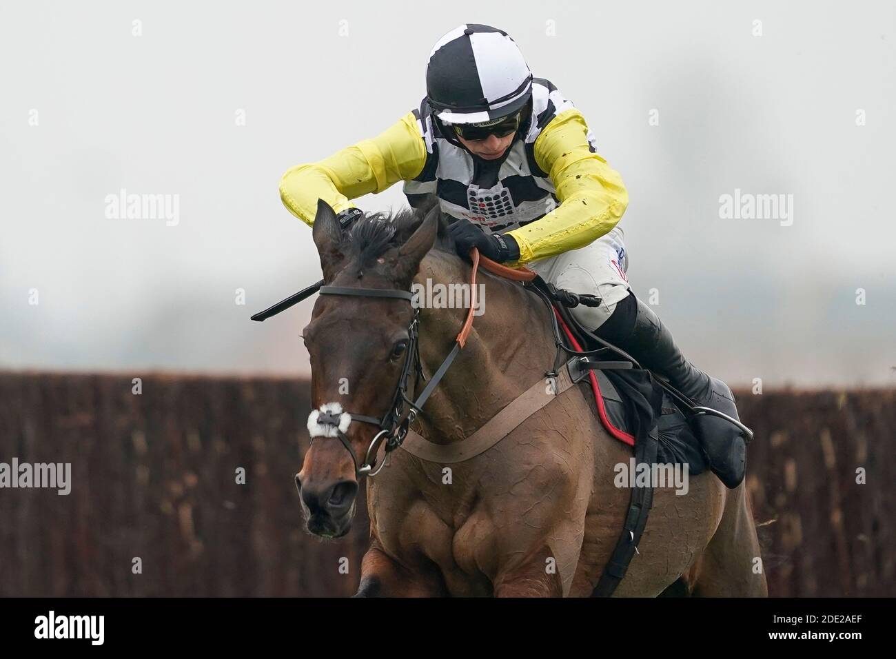 Prochaine destination criblée par Harry Cobden sort le dernier à gagner le Ladbrokes John Francome novices' Chase à Newbury Racecourse. Banque D'Images