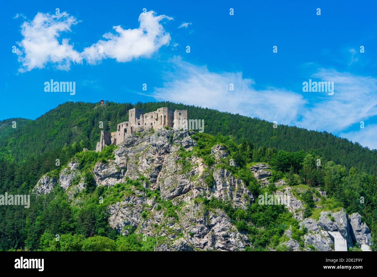 château de strecno dans le paysage de montagne d'été en slovaquie Banque D'Images