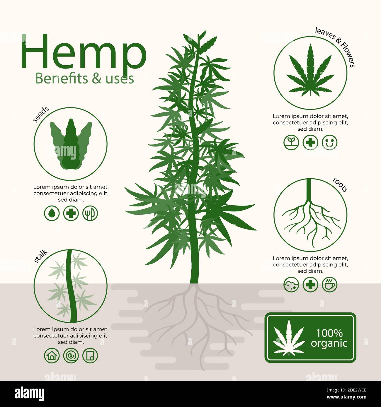 Avantages du chanvre de cannabis illustration vectorielle Illustration de Vecteur