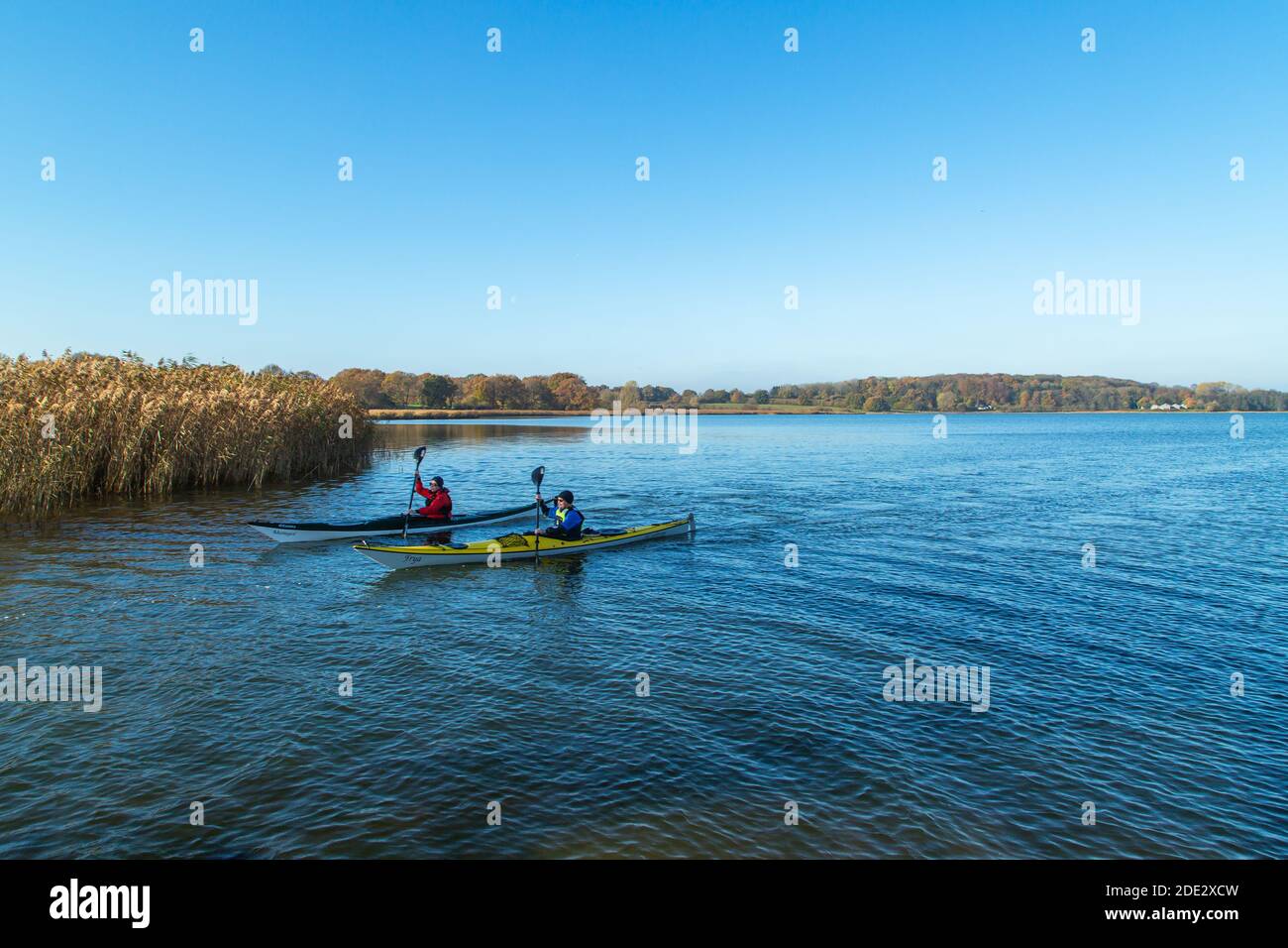 Canoë-kayak et activité SUP, site touristique, Sport sur le lac, Noor, Busdorf près du Schleswig, Schleswig-Holstein, Allemagne du Nord, Europe centrale Banque D'Images