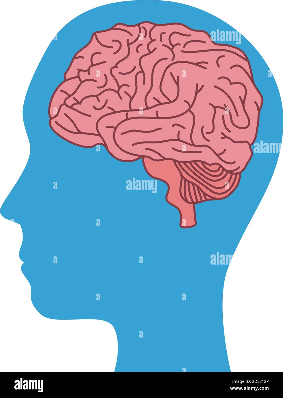 profil de santé mentale humain avec organe cérébral Illustration de Vecteur