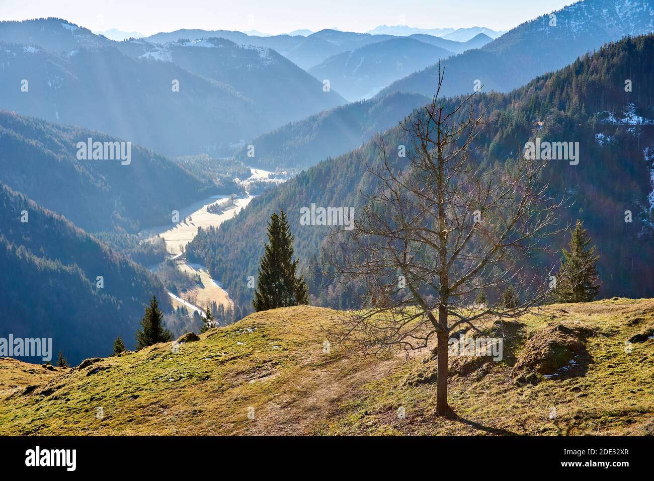 Vallée pittoresque dans les alpes Banque D'Images