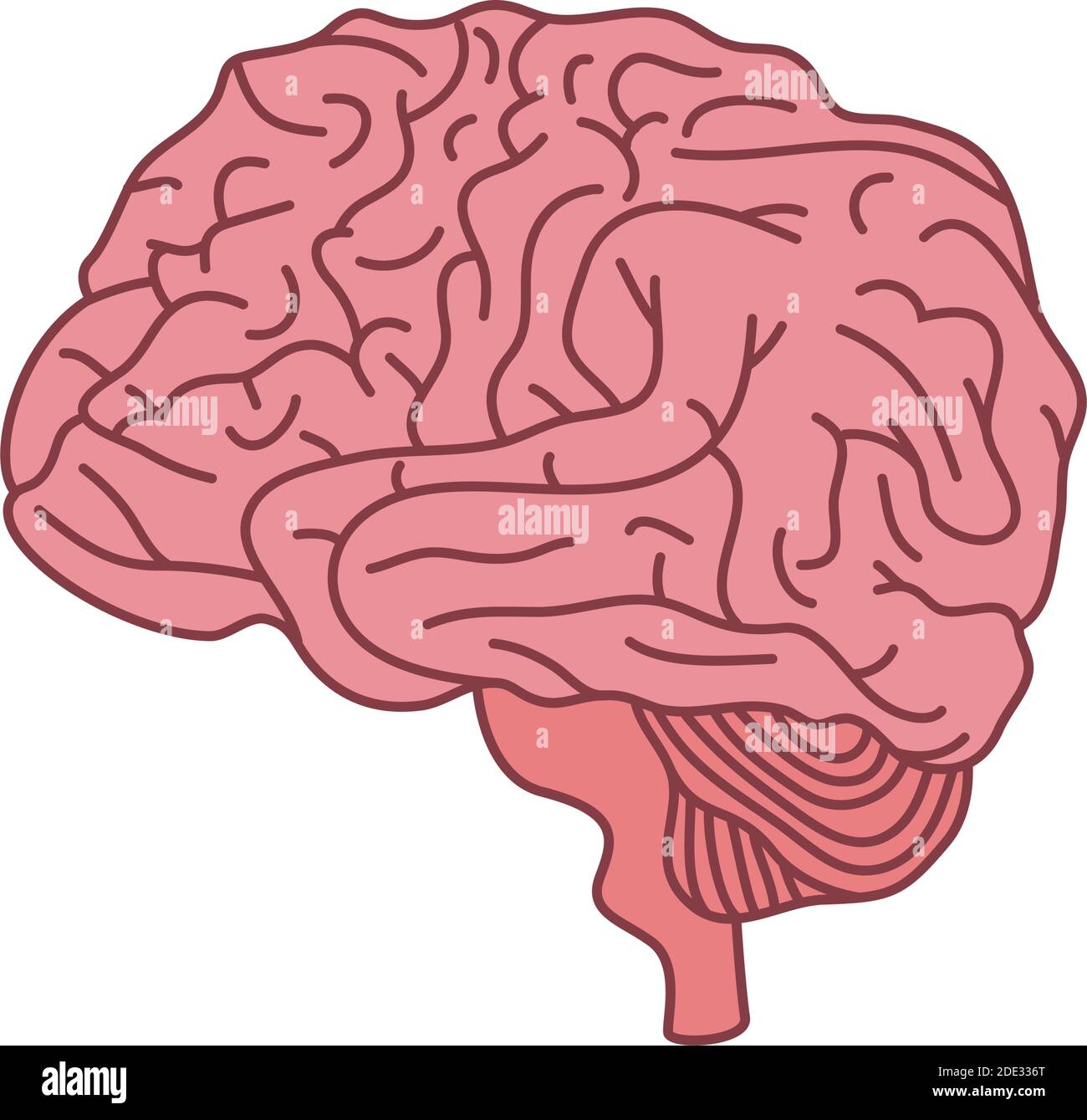 icône d'organe cérébral de santé mentale Illustration de Vecteur