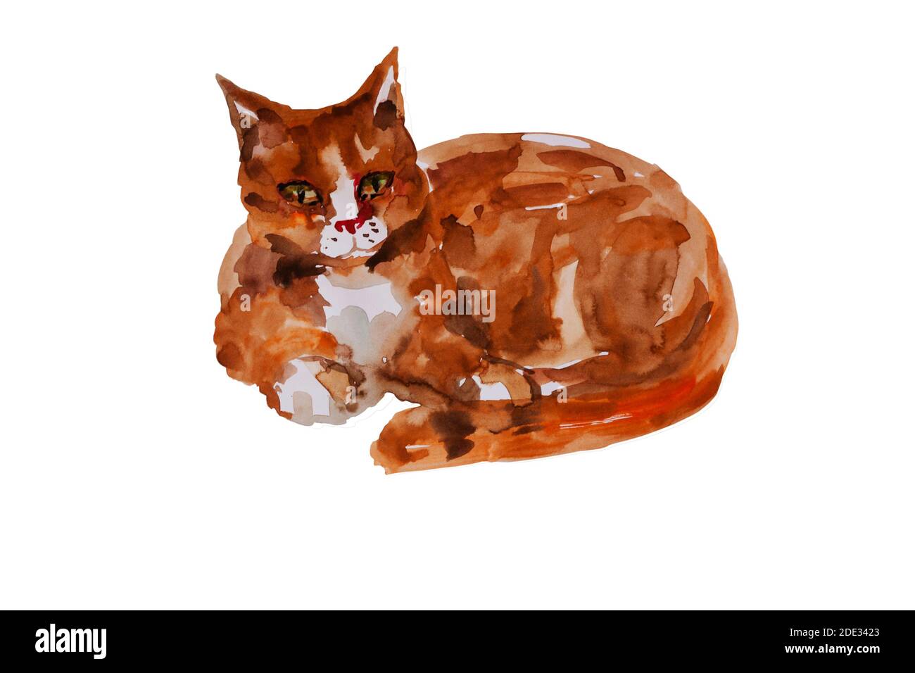 Rouge chat assis curling original aquarelle illustration isolée sur blanc arrière-plan Banque D'Images