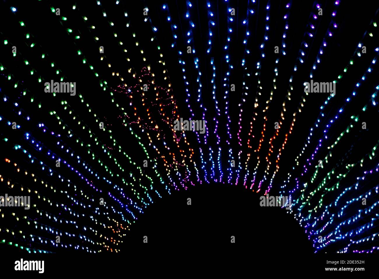 Zoolights Calgary Alberta Banque D'Images