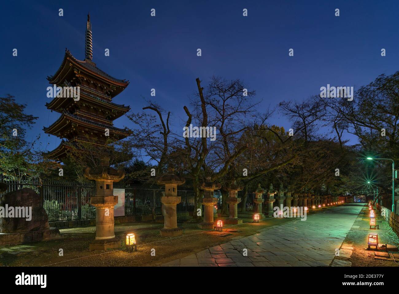 tokyo, japon - novembre 10 2019 : cinq pagode étagée du temple de Kaneiji la nuit avec des lanternes en pierre illuminées le long du chemin menant à Ueno Tosho-g. Banque D'Images