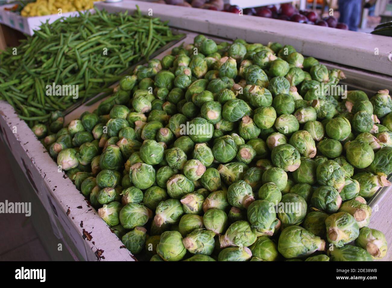 Image de pousses de saumure et de haricots verts chez a Farmer's. Marché Banque D'Images