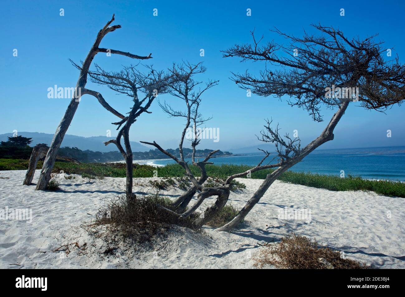 Carmel par la mer, Californie, États-Unis Banque D'Images