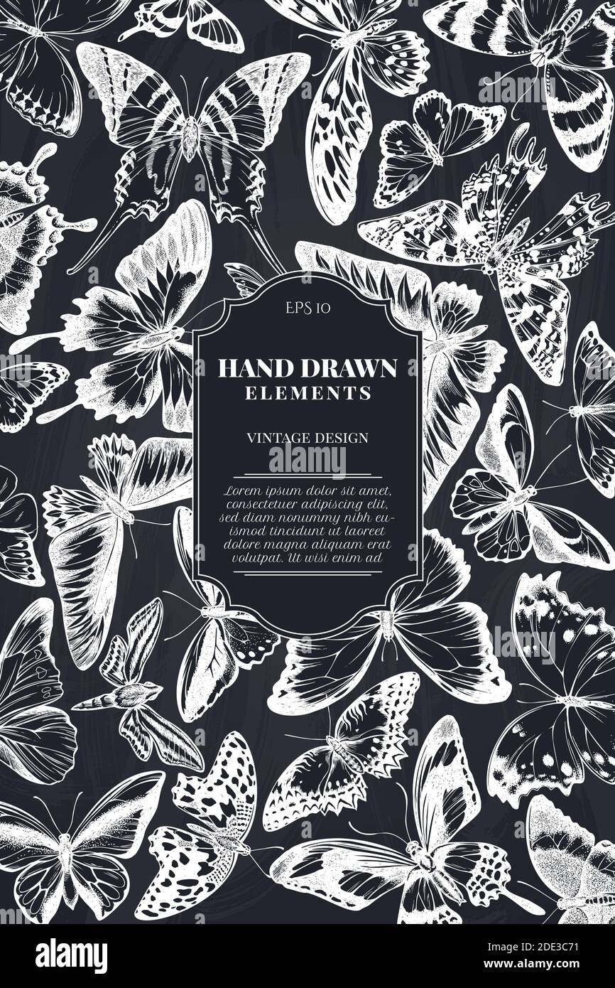 Carte à la craie à la pointe orange, queue d'allowtail émeraude, reines de la jungle, tigre Uni, ailes d'oiseaux de rajah brooke, papillio torquatus, queue d'allowtail Illustration de Vecteur