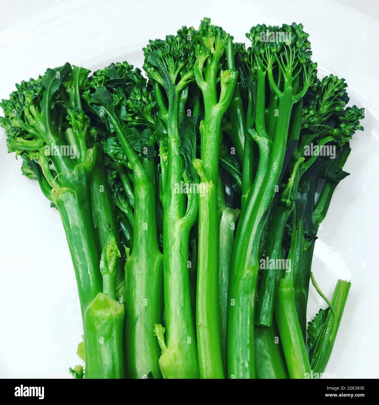 Broccolini vapeur sur plaque blanche Banque D'Images