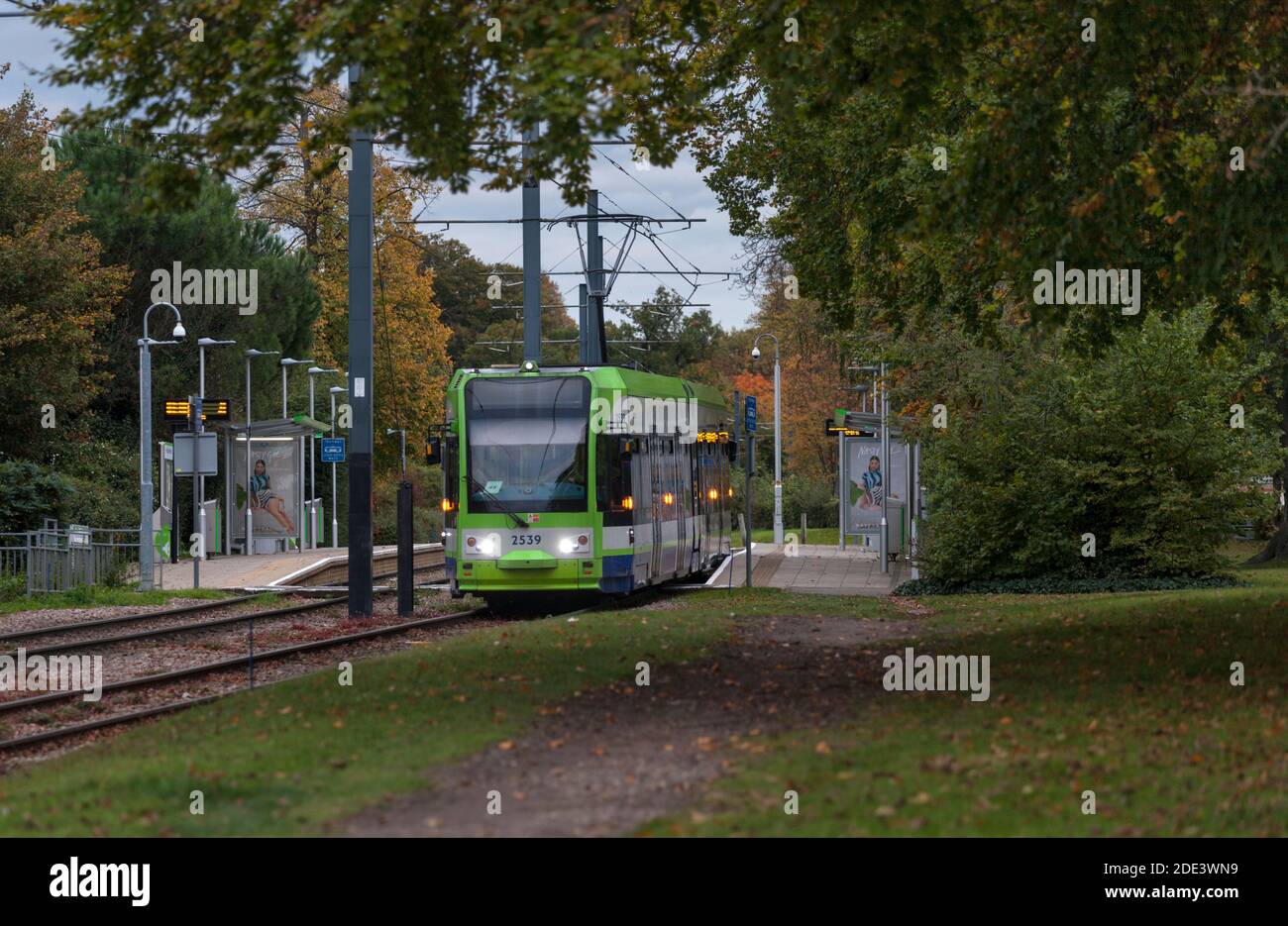 Tramways de Londres Croydon Tramlink Bombardier flexitiy SWIFT CR4000 tramway n° 2539 à l'arrêt de tramway Lloyd Park, Croydon, Londres, succursale de New Addington Banque D'Images