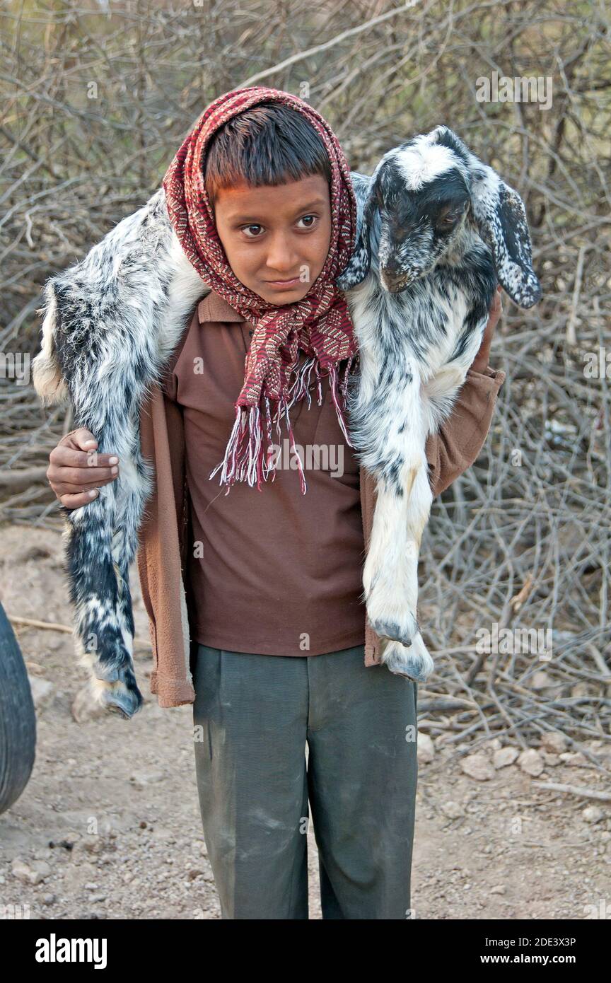 Enfant avec chèvre sur ses épaules, Rajasthan, Inde Banque D'Images