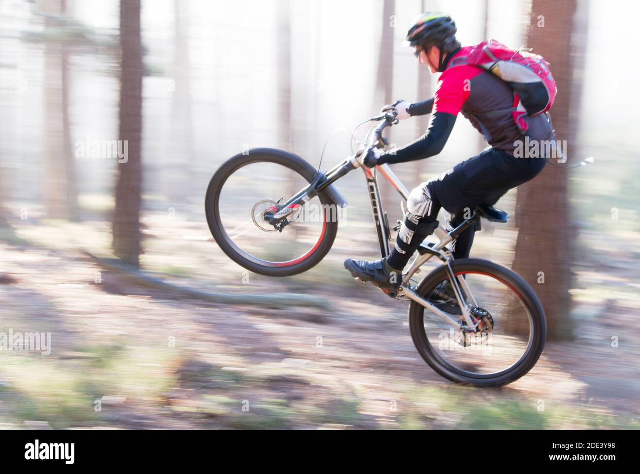 Homme à vélo de montagne dans une forêt sur un journée ensoleillée avec brouillard - mouvement flou Banque D'Images