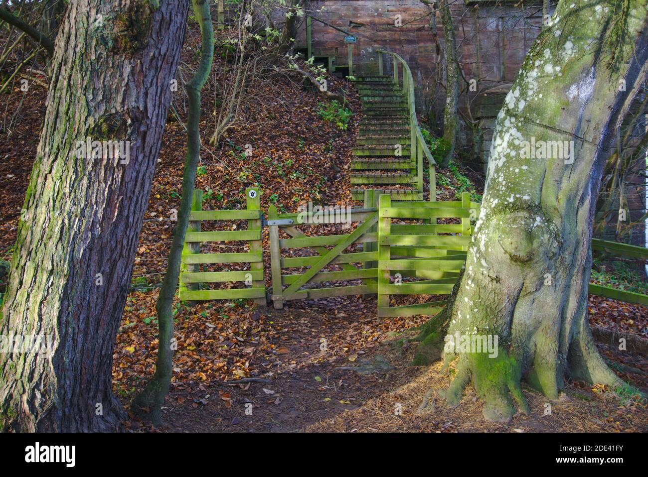 Porte en bois recouverte de mousse et escrime au bas des escaliers vus à travers les arbres sur la route de St Cuthbert menant au pont Mertoun près de la rivière Tweed. Banque D'Images