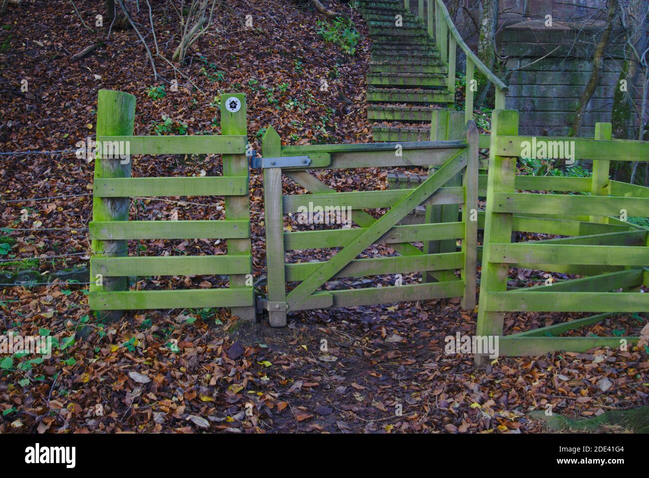 Porte en bois recouverte de mousse et escrime au bas des escaliers sur la route de St Cuthbert menant au pont Mertoun par la rivière Tweed, Scottish Borders, Royaume-Uni. Banque D'Images