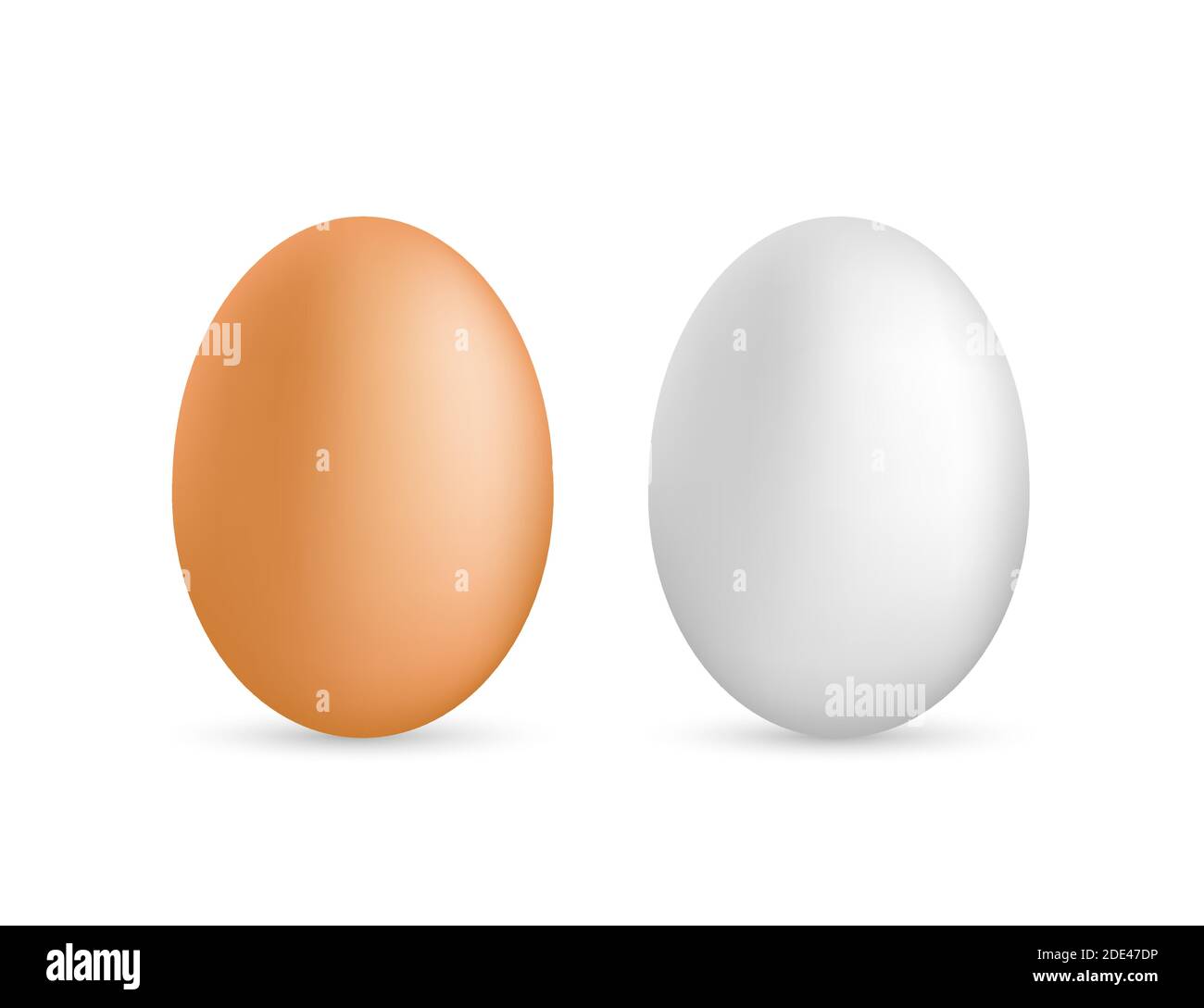 Deux œufs blancs réalistes vectoriels. Œufs isolés sur fond blanc. Illustration du stock vectoriel. Illustration de Vecteur