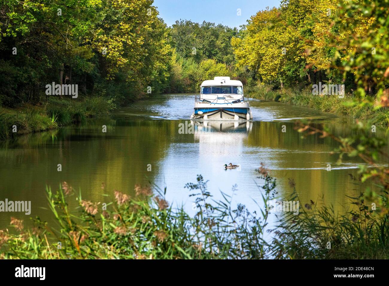 Le Canal du midi, près de Carcassonne, département français de l'Aude, région occitanie, Languedoc-Rousillon France. Bateaux amarrés sur le canal bordé d'arbres. T Banque D'Images