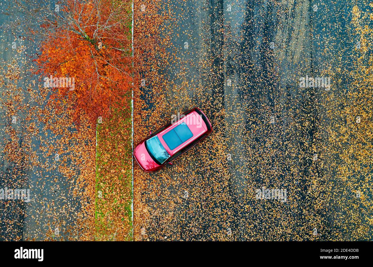 Monovoiture au parking avec arbres à feuilles caduques colorés, d'en haut, tir de drone, vue aérienne, Mondseeland, Salzkammergut, haute-Autriche, Autriche Banque D'Images