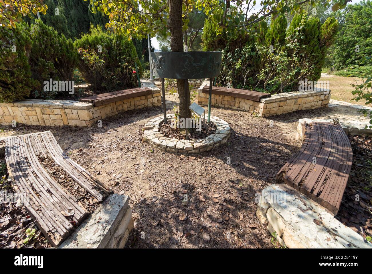 Arbustes de rosiers et sentiers dans le parc national de 'Rose Garden' à Jérusalem, Israël. Banque D'Images