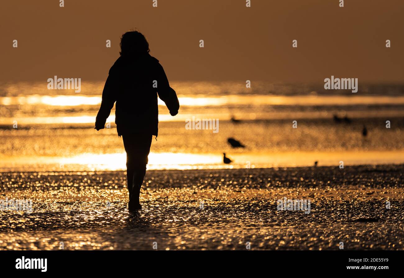 Femme marchant seule sur une plage le soir au coucher du soleil avec le soleil bas se reflétant dans la plage à marée basse au Royaume-Uni. Banque D'Images
