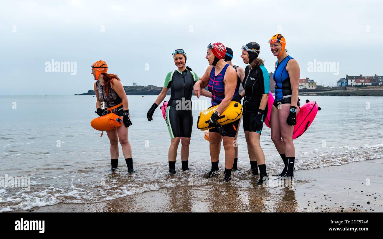 North Berwick, East Lothian, Écosse, Royaume-Uni, 29 novembre. Météo au Royaume-Uni : nageurs sauvages à l'aube : un groupe de femmes s'aventurent dans l'eau glacée du Firth of Forth lors d'un dimanche matin sombre et nuageux Banque D'Images