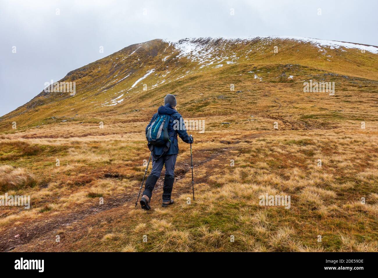 Un marcheur sur le chemin de Meall Na Teanga, l'une des montagnes du Loch Lochy Munro près de Kilfinnan, Highland, Écosse, Royaume-Uni Banque D'Images