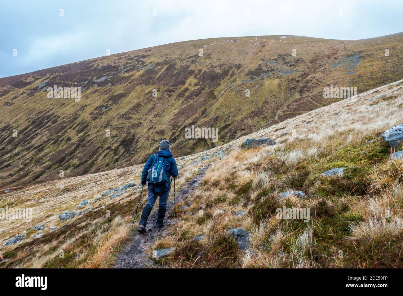 Un marcheur sur le chemin jusqu'à Sron a' Choire Ghairbh, l'une des montagnes du Loch Lochy Munro près de Kilfinnan, Highland, Écosse, Royaume-Uni Banque D'Images