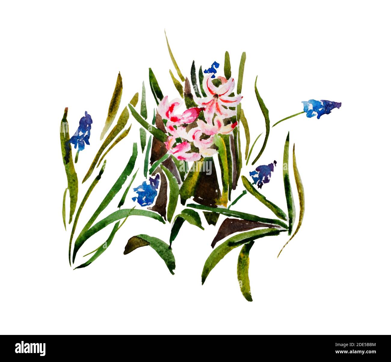 Motif floral de plantes muscari et jacinthe poussant sur le sol, illustration d'aquarelle originale isolée sur fond blanc Banque D'Images