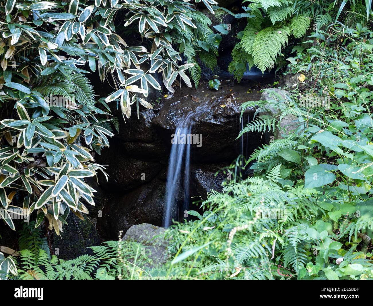 Une petite chute d'eau s'étend sur une colline dans le jardin Sankeien à Yokohama, au Japon. Banque D'Images