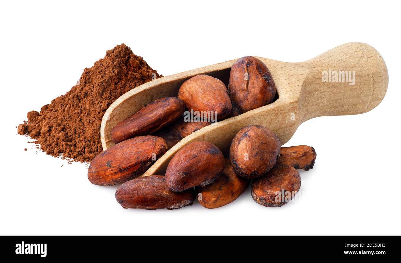 fèves de cacao dans la pelle Banque D'Images
