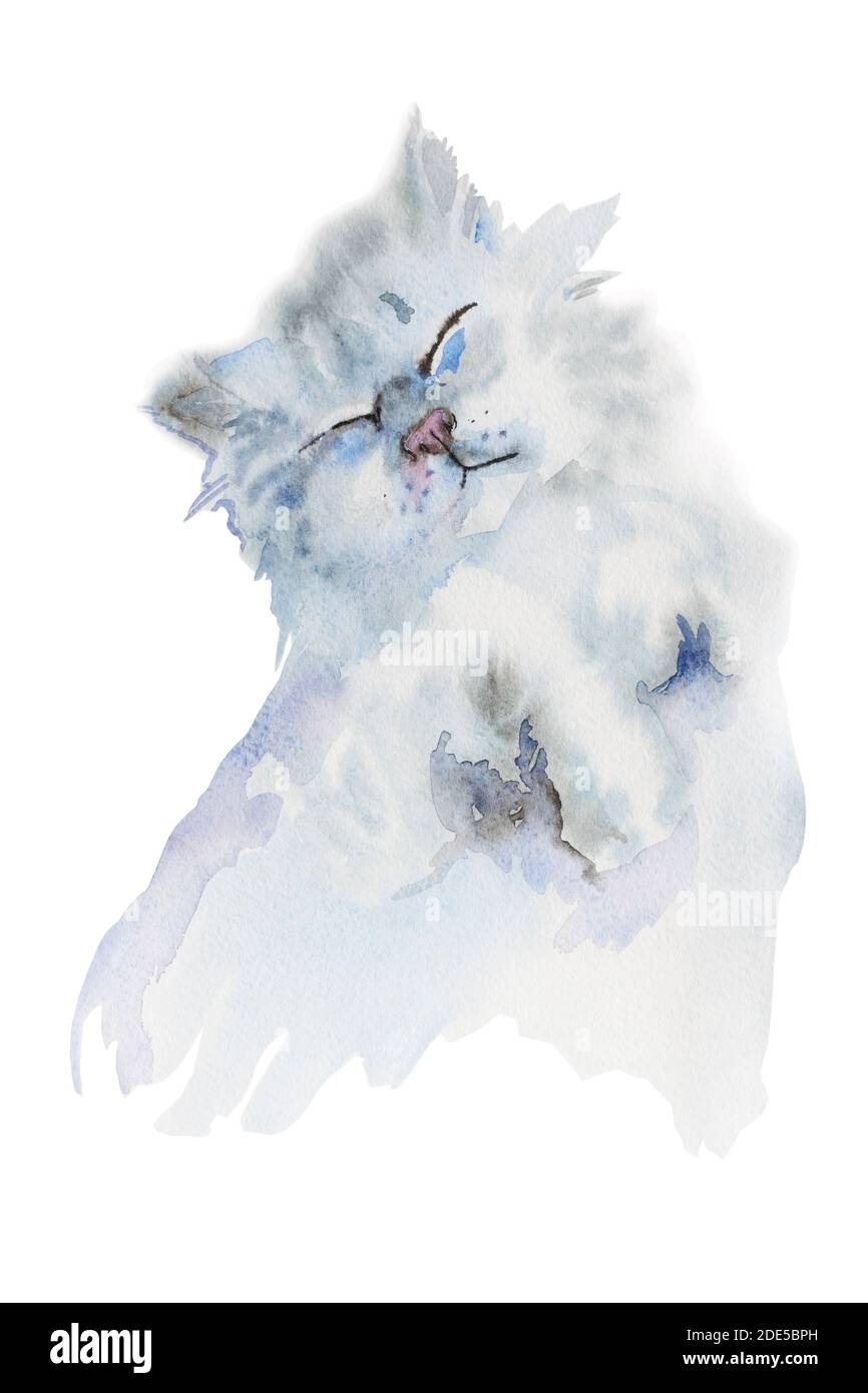 Joyeux gris moelleux chat dormant original aquarelle isolée sur blanc arrière-plan Banque D'Images