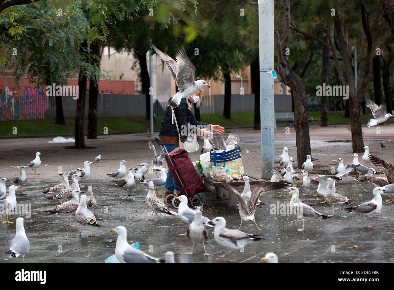 Femme nourrissant des mouettes, Barcelone, Espagne. Banque D'Images