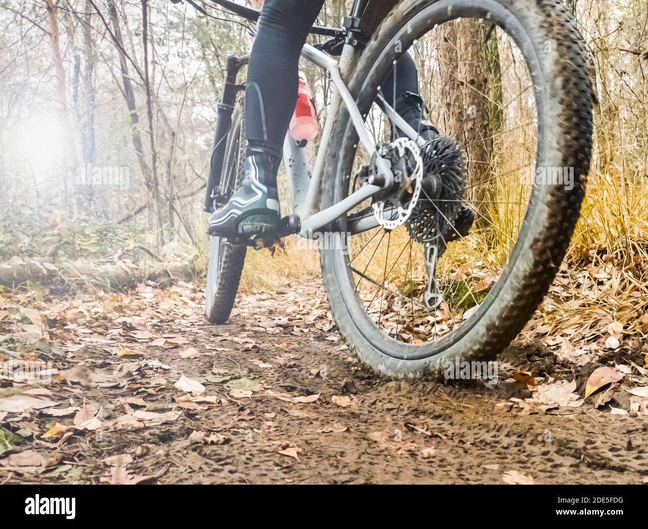 Pistes de boue sur un sentier de VTT Banque D'Images