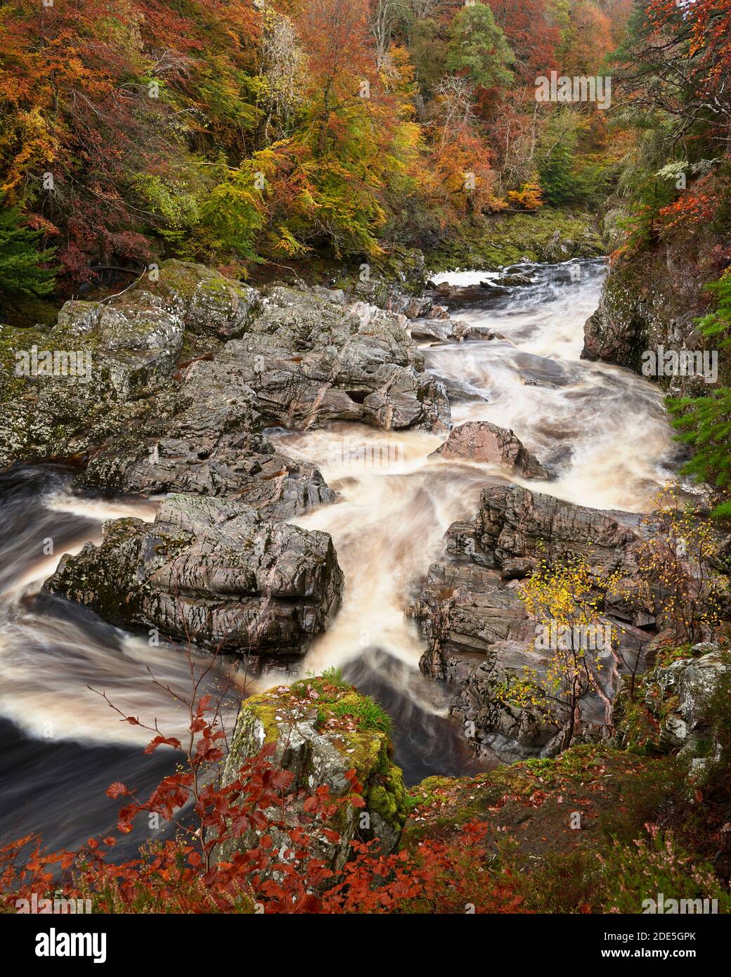 La rivière Findhorn, au-dessous de Randolph Leap, près de Logie, Moray, Écosse. En automne Banque D'Images