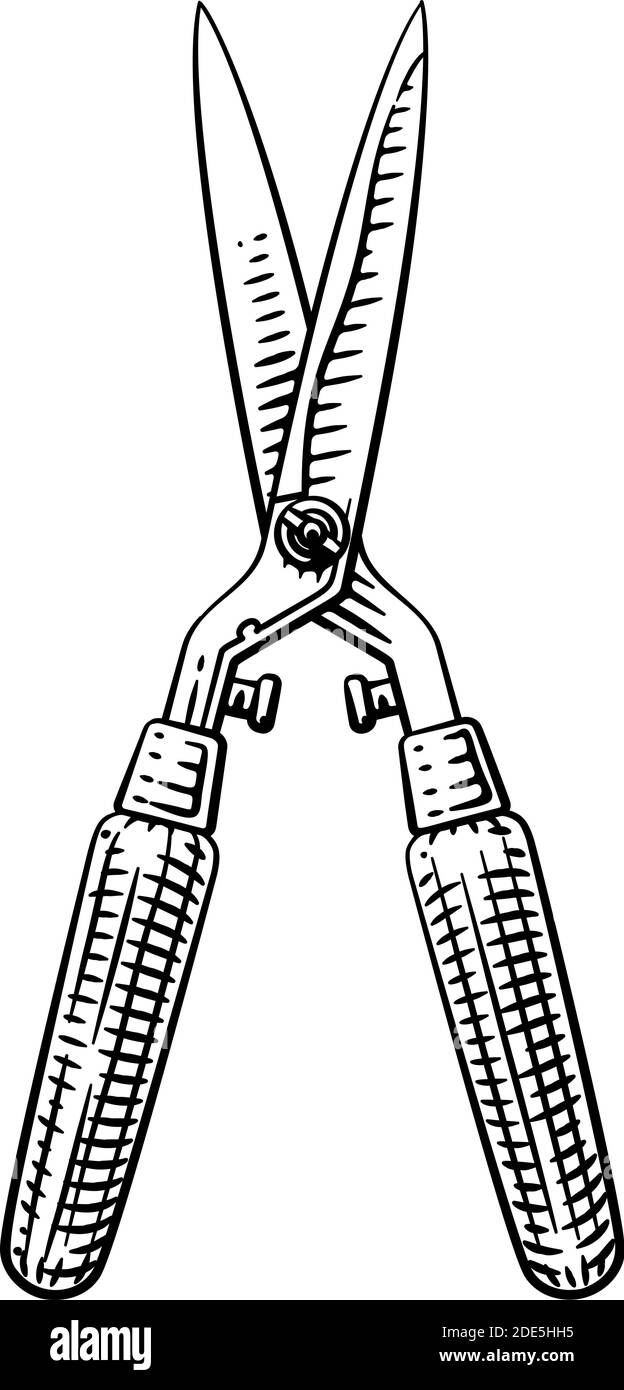 Taille-haies pour outils de jardin taille-haies coupe de bois Illustration de Vecteur